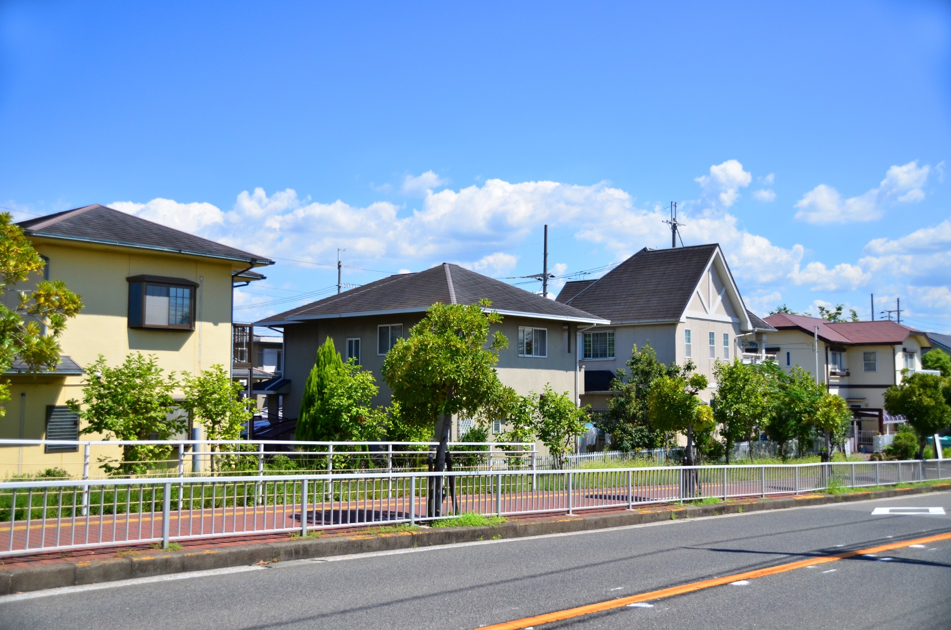 AdobeStock_246718152 (1)